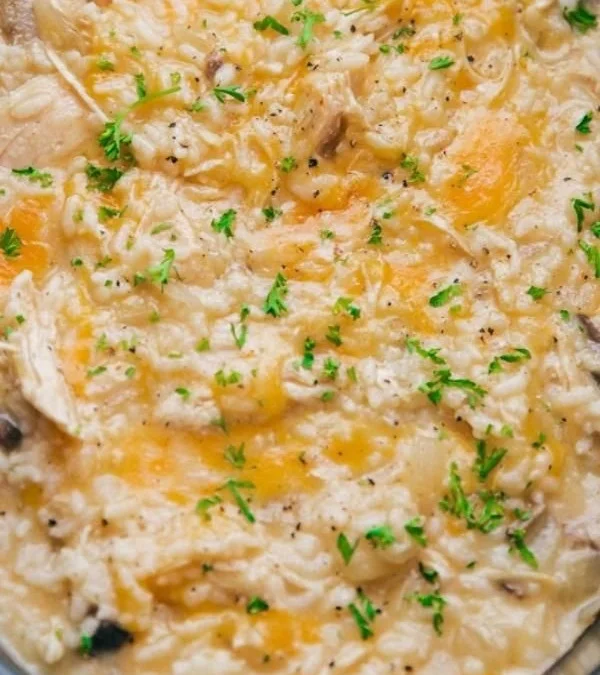 Cheesy Chicken and Rice dish served in a bowl with herbs and cheese topping