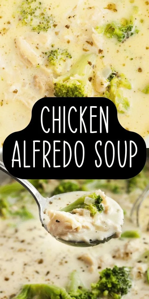 Bowl of creamy Chicken Alfredo Soup topped with parsley and parmesan