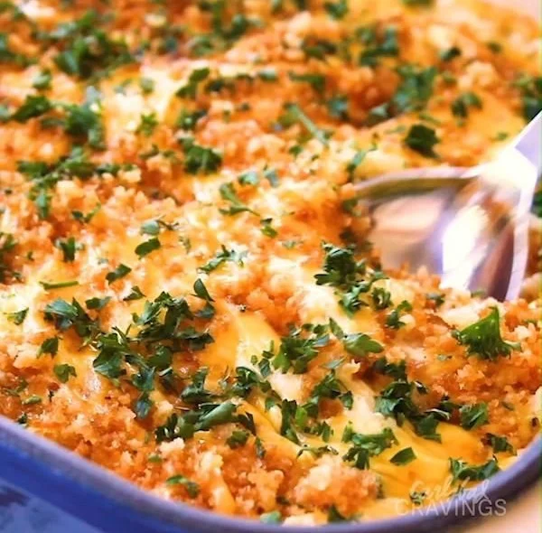 Delicious Chicken Divan with chicken, broccoli, and creamy sauce on a plate