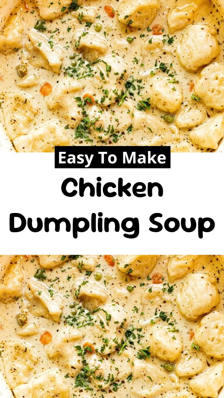 Chicken Dumpling Soup