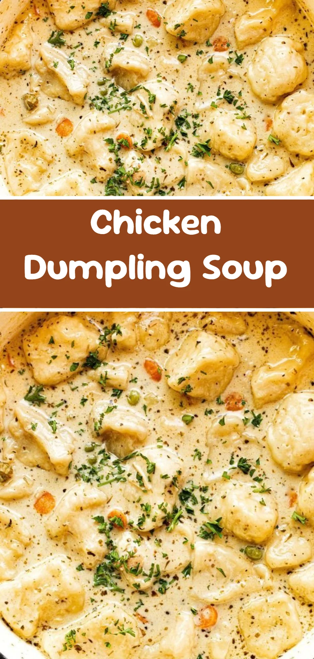 Chicken Dumpling Soup