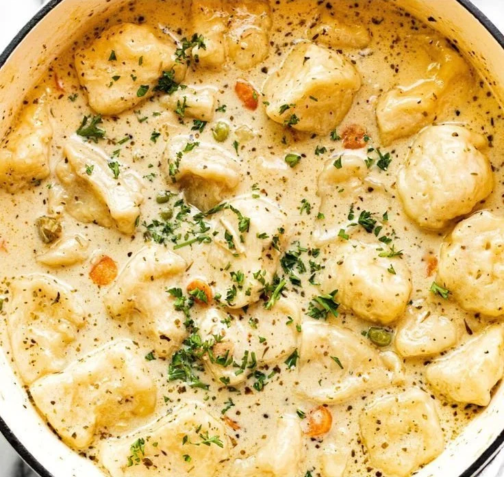 Chicken Dumpling Soup