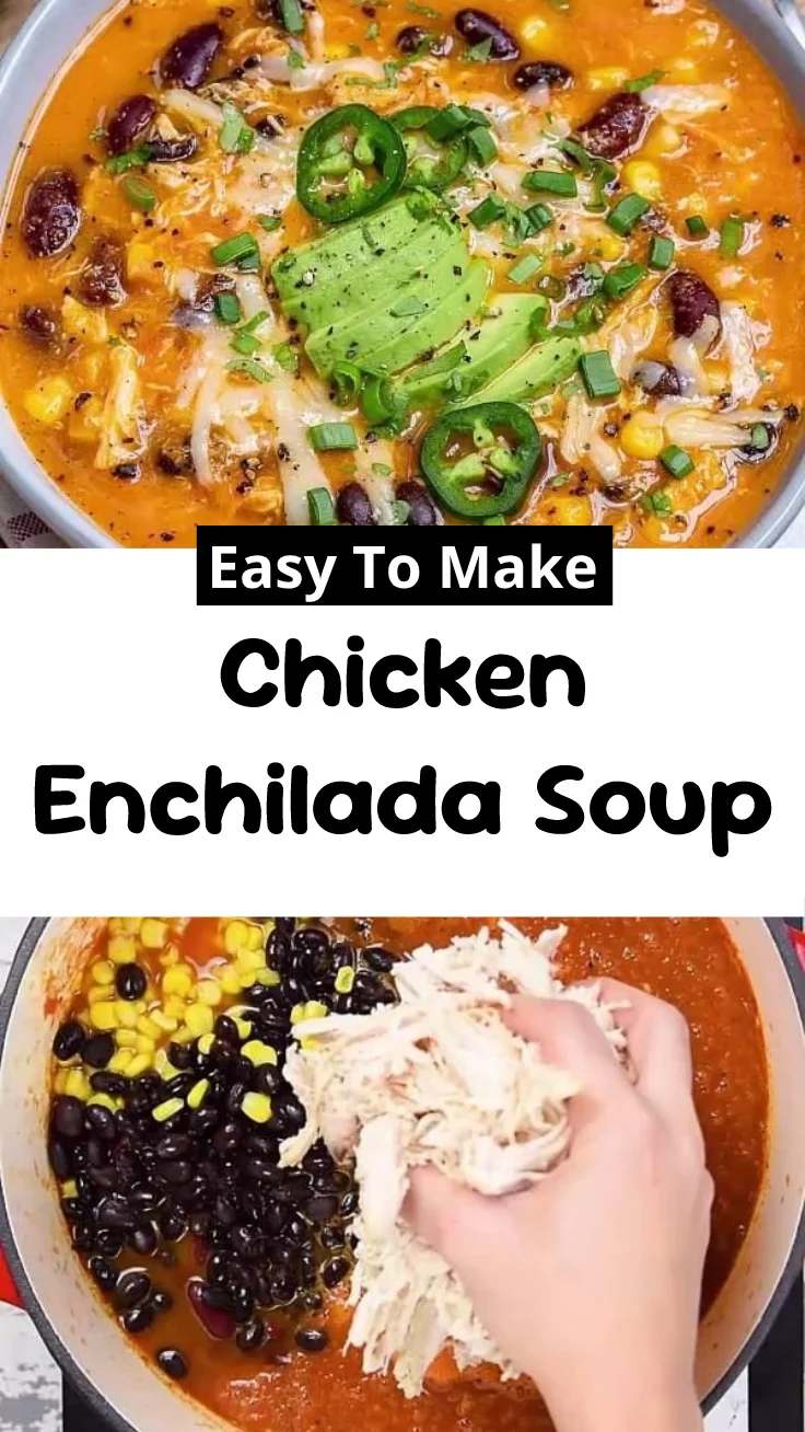 Chicken Enchilada Soup