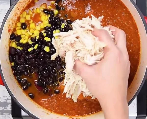 Chicken Enchilada Soup
