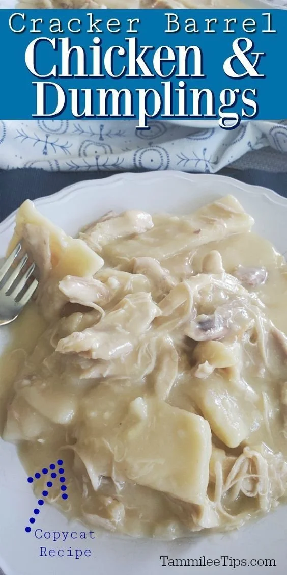 Delicious bowl of Cracker Barrel Chicken and Dumplings
