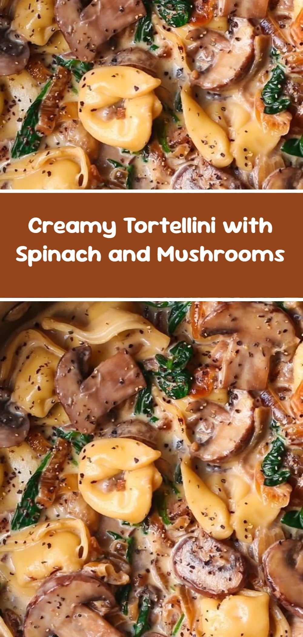Creamy Tortellini with Spinach and Mushrooms