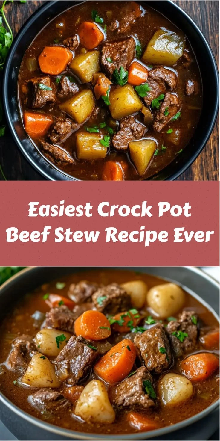 Bowl of easy crock pot beef stew with vegetables and herbs