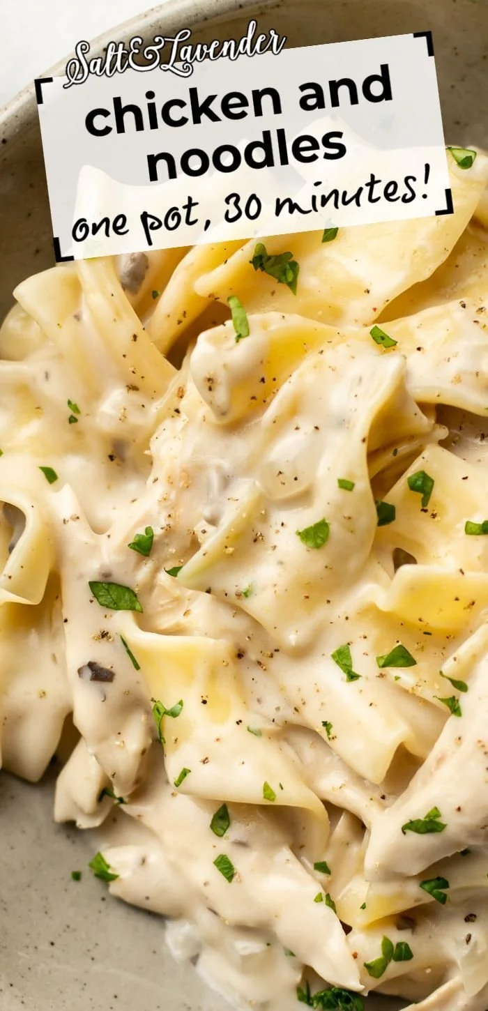 One Pot Chicken and Noodles dish ready to serve, featuring chicken and noodles in a creamy sauce.