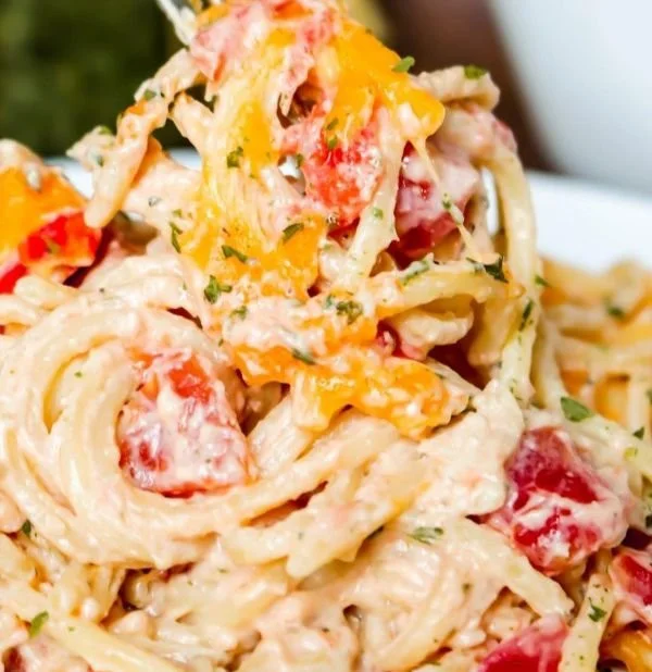 A plate of creamy chicken spaghetti topped with herbs and cheese