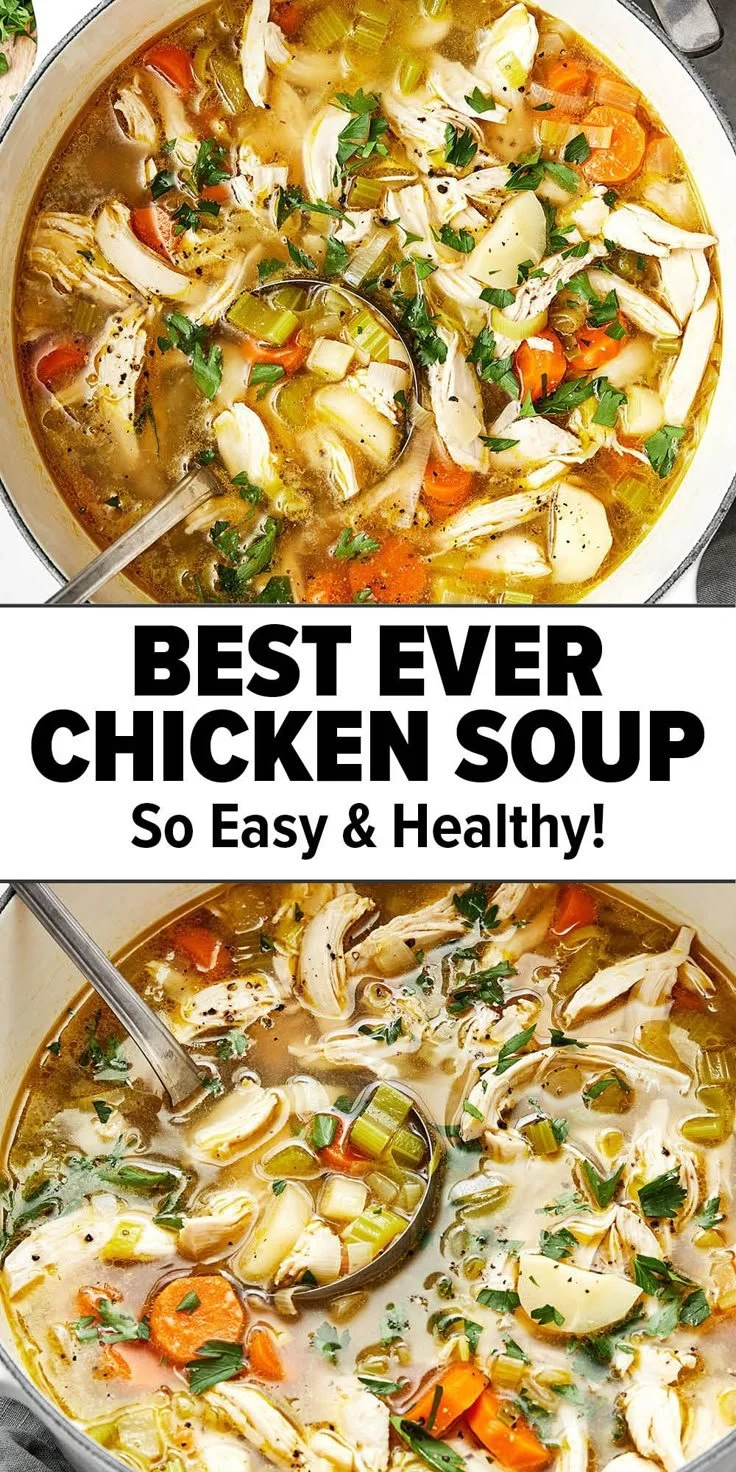 Bowl of homemade chicken soup with vegetables and herbs