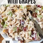 chicken salad with grapes recipe weight watchers 2026 08 06 181031 1
