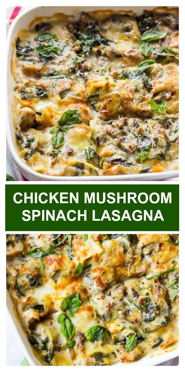 Delicious Chicken Spinach and Mushroom Lasagna served in a dish