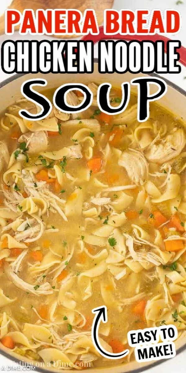 Bowl of CopyCat Panera Bread chicken noodle soup with fresh herbs and noodles