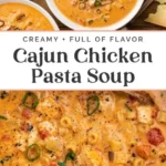 creamy cajun chicken pasta soup 2026 08 06 180900 569x1024 1