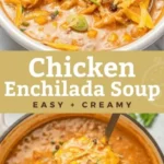 creamy chicken enchilada soup lemon blossoms 2026 08 06 181036 462x1024 1