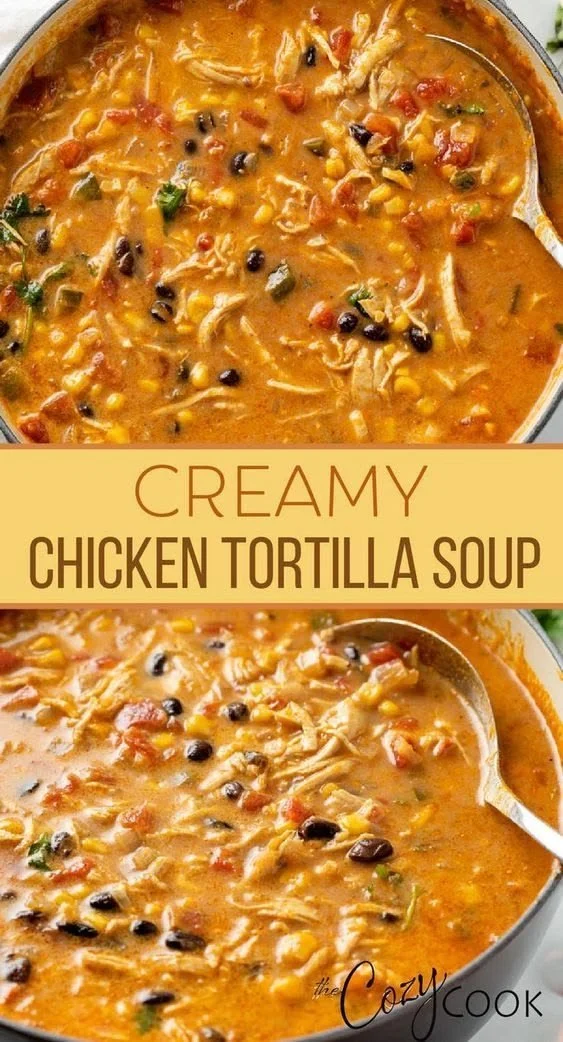 Creamy chicken tortilla soup in a bowl garnished with tortilla strips and herbs