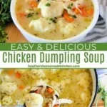 easy chicken and dumplings recipe chicken dumpli 2026 08 07 180325 1