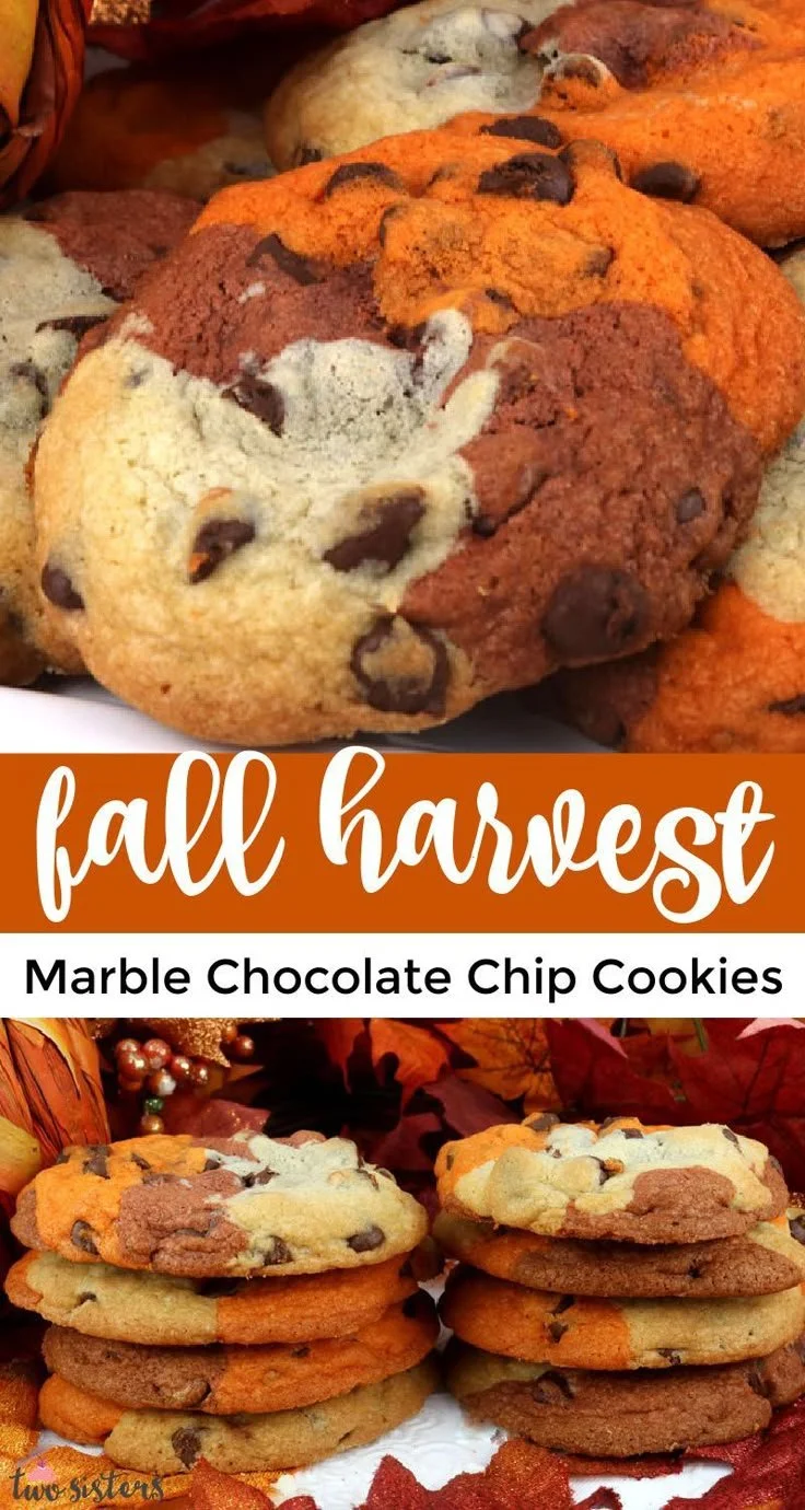Delicious Fall Harvest Marble Chocolate Chip Cookies with chocolate chunks.
