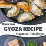 gyoza recipe japanese dumplings 2026 08 07 180319 512x1024 1