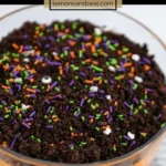 halloween oreo dirt cake recipe spooky holiday t 2026 08 06 180916 569x1024 1