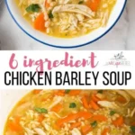 hearty and healthy chicken barley soup chicken b 2026 08 07 180329 512x1024 1