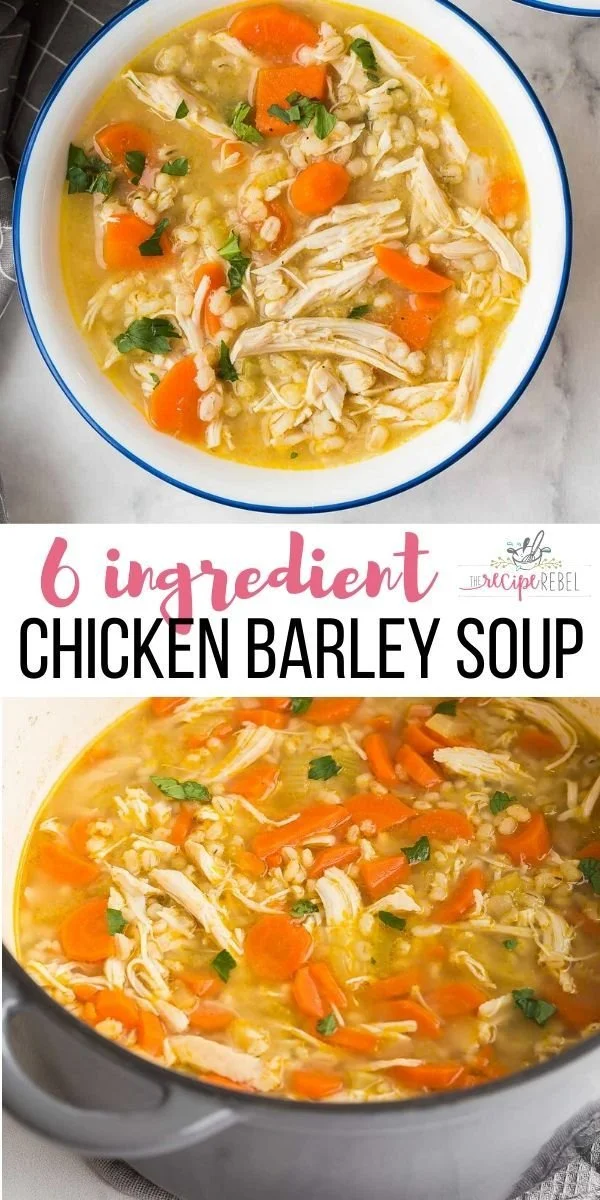 Bowl of hearty chicken barley soup with vegetables and herbs
