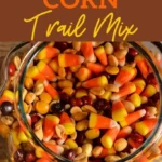 irresistible candy corn trail mix recipe fall ca 2026 08 06 180945 683x1024 1