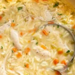 lemon chicken orzo soup 2026 08 06 180957 494x1024 1