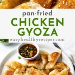 pan fried chicken gyoza recipe japanese chicken 2026 08 07 180324 512x1024 1